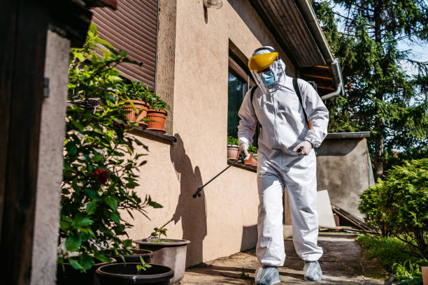 Best Mosquito Control Services  in Monument Hills, CA