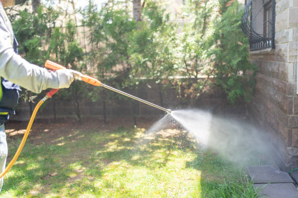 Best Bed Bug Extermination  in Monument Hills, CA