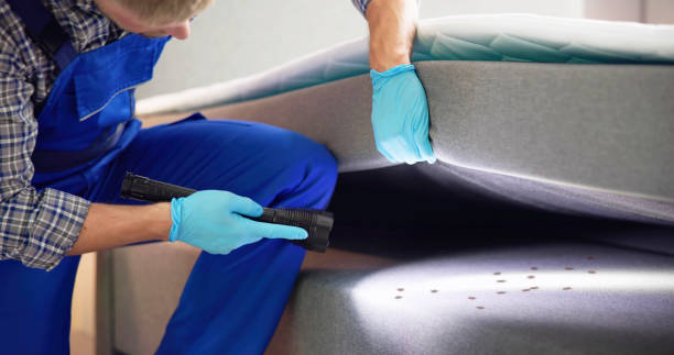 Best Wasp Removal Services  in Monument Hills, CA