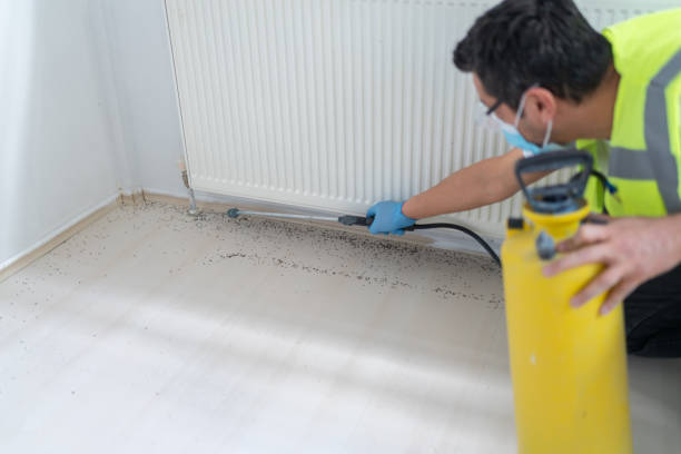 Best Termite Control Services  in Monument Hills, CA