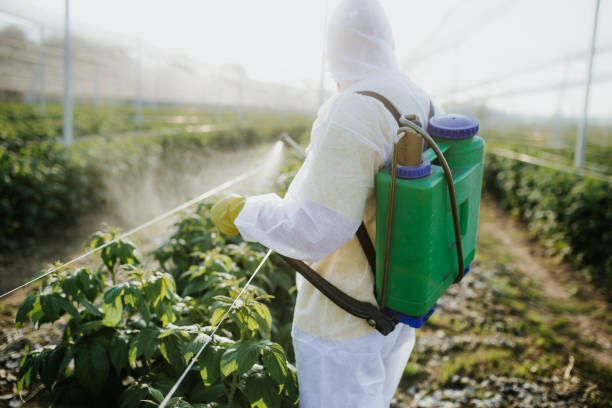 Best Pest Prevention Services  in Monument Hills, CA